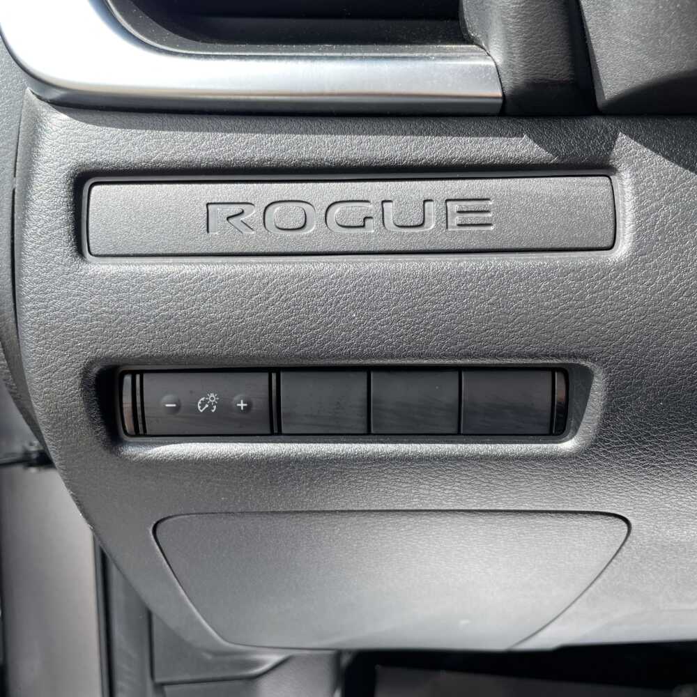  Rogue